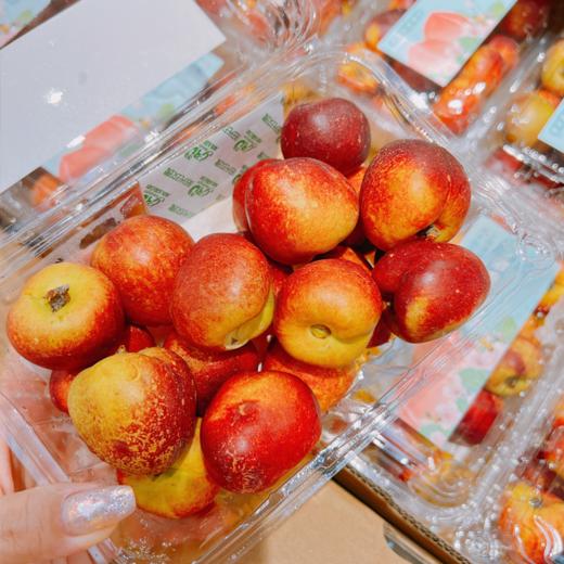 山地种植·小樱蜜桃550g/盒 |水果 商品图3