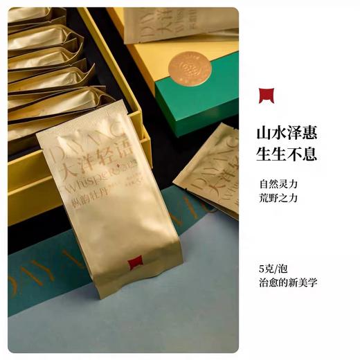 福鼎白茶 | 2023年 磻溪大洋山 一叶九鼎 枞韵牡丹5g*32泡/盒 商品图2