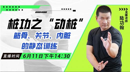 6月11日  桩功之“动桩” —筋骨、关节、内脏的静态训练 商品图0
