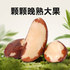 【悠享佳】悠享佳鲍鱼果仁500g真空装富硒巴西坚果原味含硒坚果孕妇干果零食 商品缩略图2