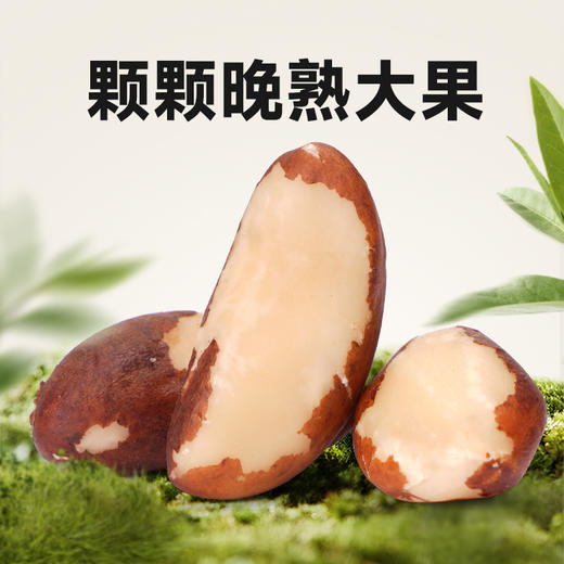 【悠享佳】悠享佳鲍鱼果仁500g真空装富硒巴西坚果原味含硒坚果孕妇干果零食 商品图2
