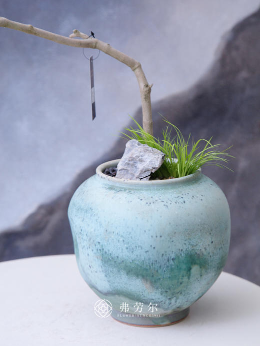 造型黄荆蓝色盆 商品图1