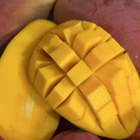 小金凤芒果500g/盒  |水果