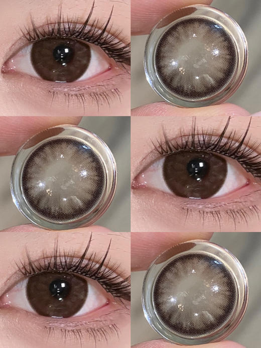 秀儿 年抛  冷泡乌龙 / 薄荷碎冰 （棕蓝 14.5 最高1000度） 商品图1