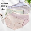 雅黛丽内裤女生纯棉亲肤透气柔软中腰三角裤夏季薄款高弹短裤头 商品缩略图0