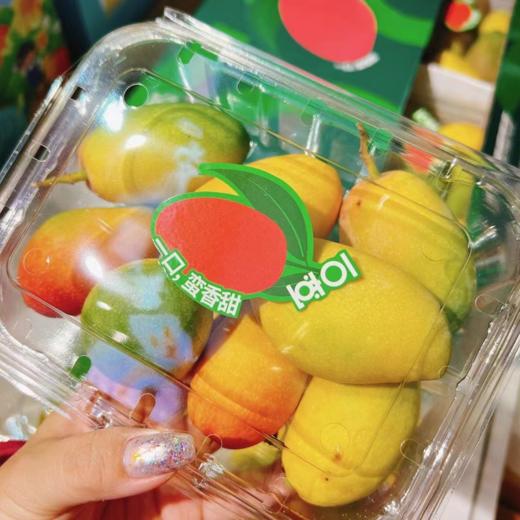 小金凤芒果500g/盒  |水果 商品图4