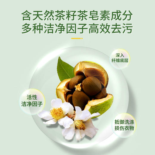 【新品】家椿寶茶籽深层清洁洗衣液 商品图1