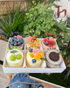 出游季 · 口味杯蛋糕礼盒 商品缩略图3
