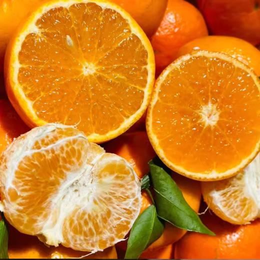 云南远山半溪虎柑 约4斤/箱 |水果 商品图3