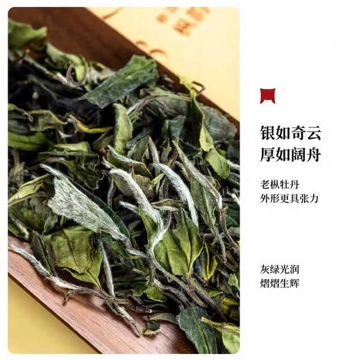 福鼎白茶 | 2023年 磻溪大洋山 一叶九鼎 枞韵牡丹5g*32泡/盒 商品图3