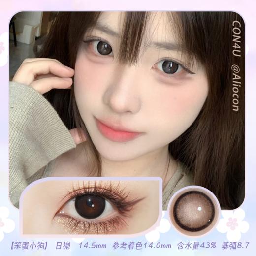 Con4u 笨蛋小狗 14.5mm【日抛10片/盒】 商品图0