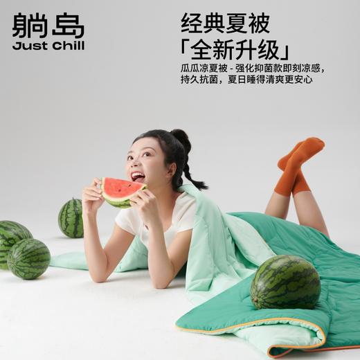 躺岛~瓜瓜即刻凉感强化抗菌凉被  轻薄透气春秋被 夏季凉感空调被可机洗水洗被芯 商品图0