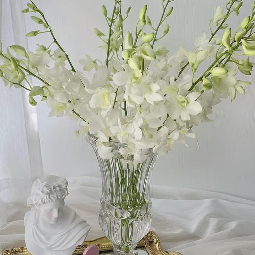泰国花材-【洋兰】白 商品图2