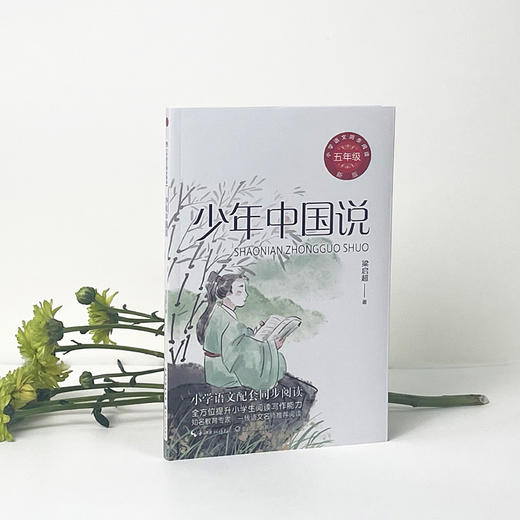 少年中国说 新版 商品图4