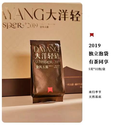 福鼎白茶 | 一叶九鼎 2019年 磻溪大洋山大洋轻语-金风玉露 老白茶160g/盒 商品图2