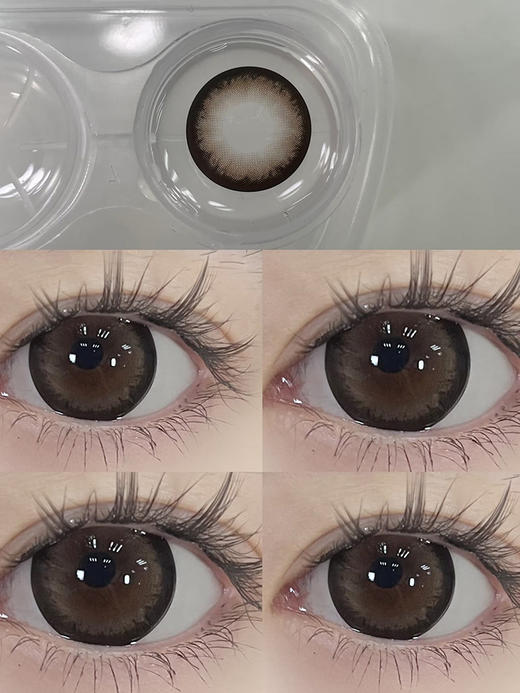 kaylens日抛｜圆萌熊｜14.5mm白狮参考着色大直径｜国产日抛 商品图2