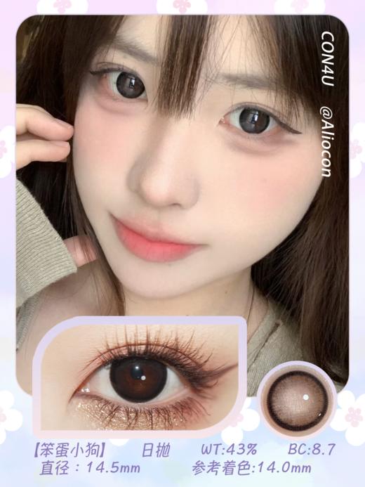 Con4u 笨蛋小狗 14.5mm【日抛10片/盒】 商品图1