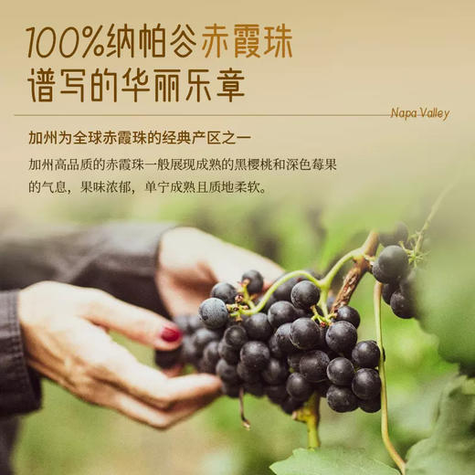 美国进口帅爷酒窖赤霞珠红葡萄酒750ml 商品图4