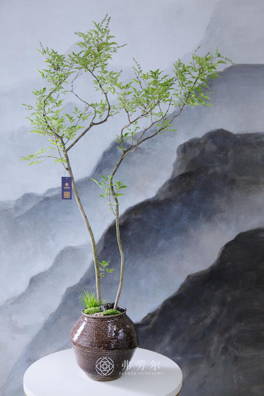 造型黄荆棕色盆 商品图0