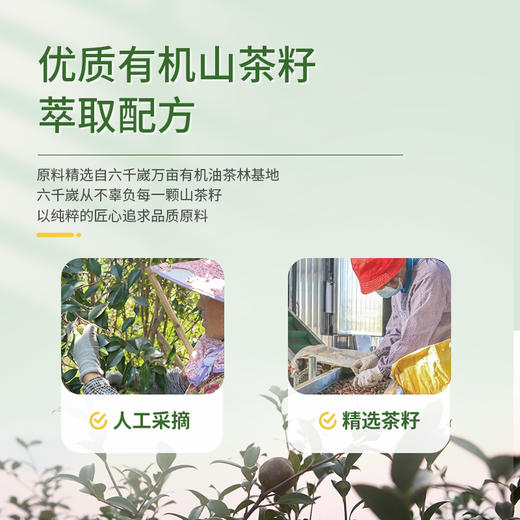 【新品】家椿寶茶籽深层清洁洗衣液 商品图4