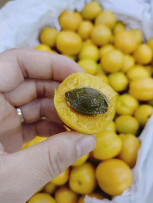 油杏2斤 商品图2