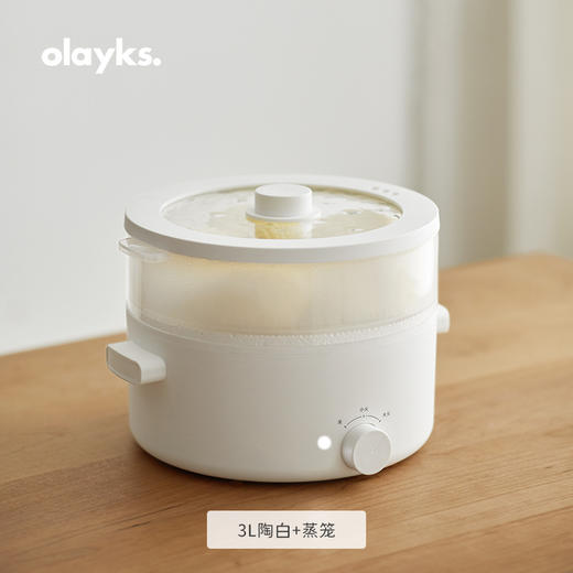 olayks立时家用宿舍学生多功能一体小电锅 商品图0