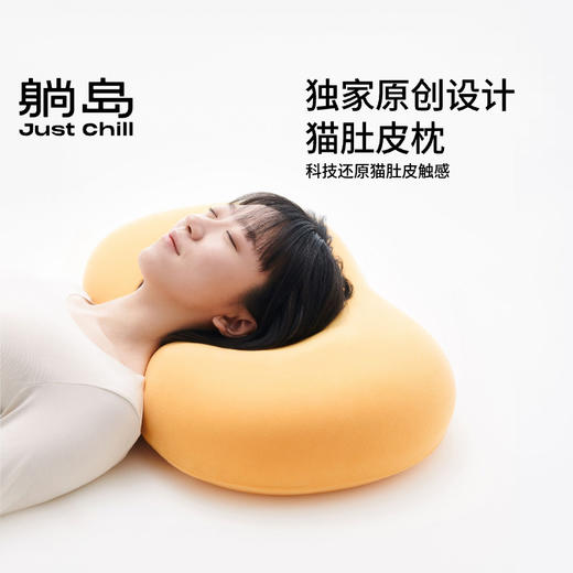 躺岛~猫肚皮枕记忆 柔软回弹枕芯睡觉睡眠枕（含枕套） 商品图3
