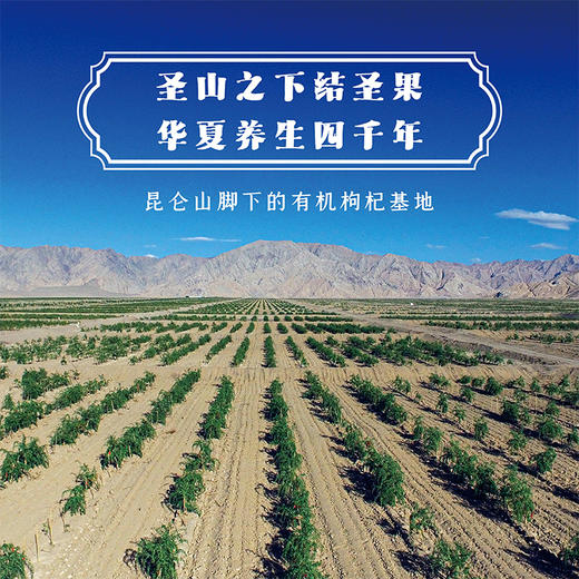 钻石红有机枸杞汁 商品图4