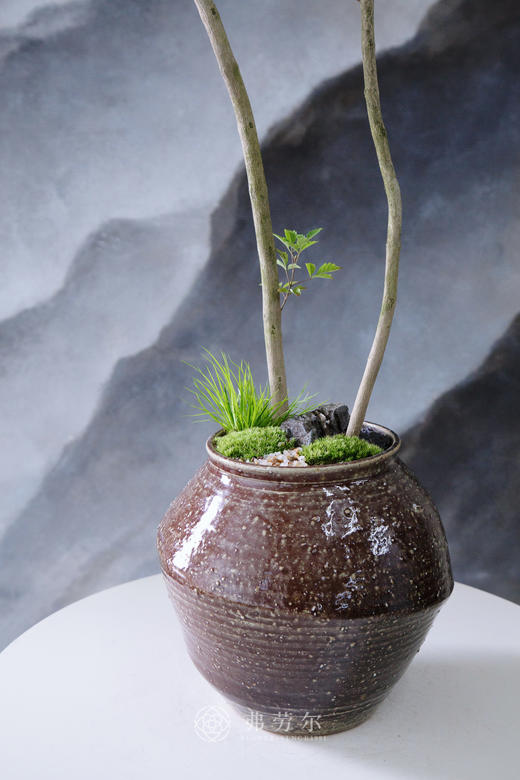 造型黄荆棕色盆 商品图1