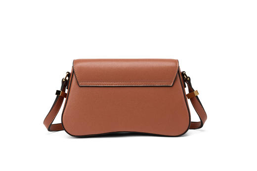 皮尔卡丹正品女士高级感小众包包女百搭复古时尚手提单肩包洋气法棍腋下包 商品图10