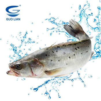 GUO LIAN国联水产 酒香三去海鲈鱼净重400g 免杀海鲜生鲜鱼类 商品图1
