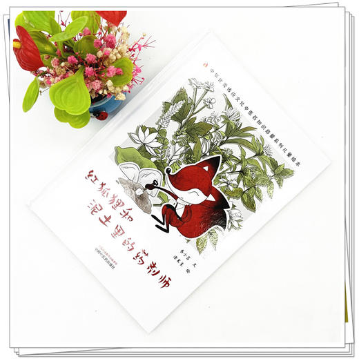 红狐狸和泥土里的药剂师 书小言文 涂末末绘 中国中医药出版社 中医优秀传统文化中医药知识启蒙系列儿童绘本 商品图1