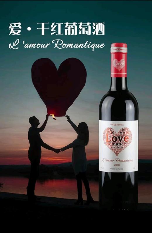 （法国原瓶进口）爱·干红葡萄酒 商品图6