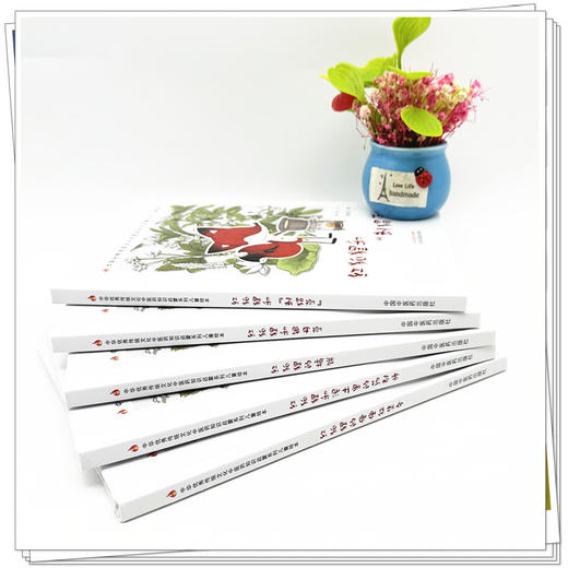 【全5册】红狐狸全集5本（第二版） 书小言文 涂末末绘 中国中医药出版社 中医优秀传统文化中医药知识启蒙系列儿童绘本医药知识启蒙系列儿童绘本 商品图2