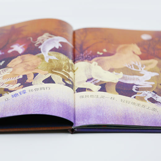 未小读【特价童书绘本】地球的孩子 商品图2