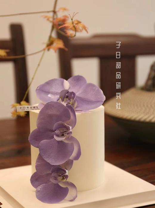 蝴蝶兰（请提前24小时预定） 商品图1