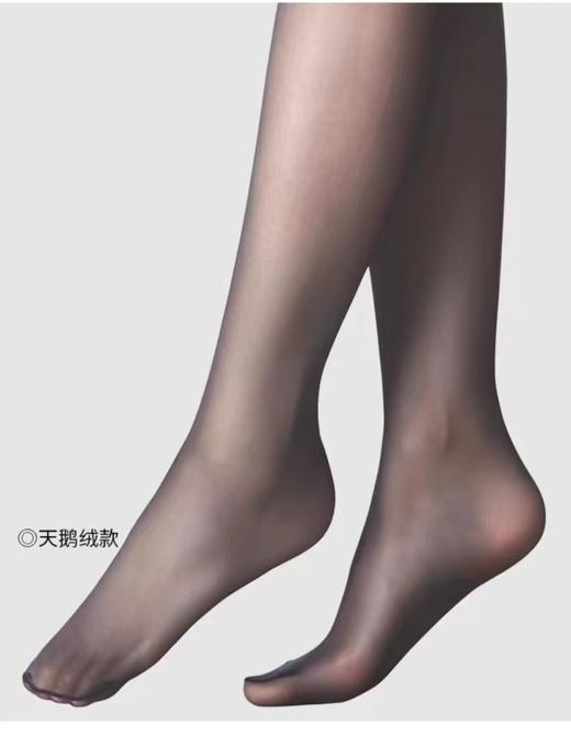 2F厚木连裤袜 商品图1