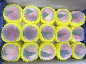 红梅水蜜桃礼盒