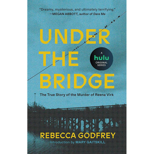 桥下杀人事件  Rebecca Godfrey 美剧原作小说 英文原版 Under the Bridge 商品图0