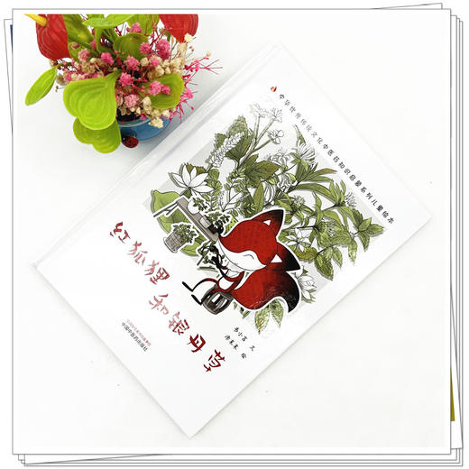 红狐狸和银丹草 书小言文 涂末末绘 中国中医药出版社 中医优秀传统文化中医药知识启蒙系列儿童绘本 商品图1