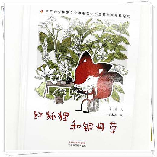 红狐狸和银丹草 书小言文 涂末末绘 中国中医药出版社 中医优秀传统文化中医药知识启蒙系列儿童绘本 商品图3