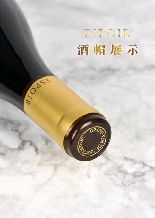 （法国原瓶进口）艾柏干红葡萄酒 商品图6