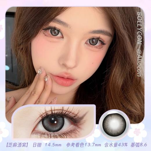 Bollycon Panda Black 芝麻酒窝 14.5mm【日抛|10片/盒】 商品图0