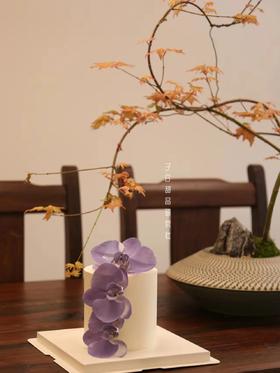 蝴蝶兰（请提前24小时预定）