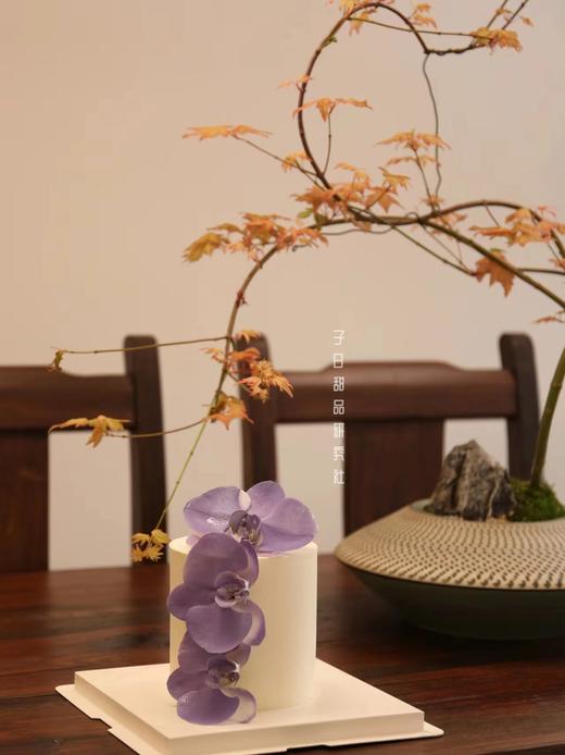 蝴蝶兰（请提前24小时预定） 商品图0