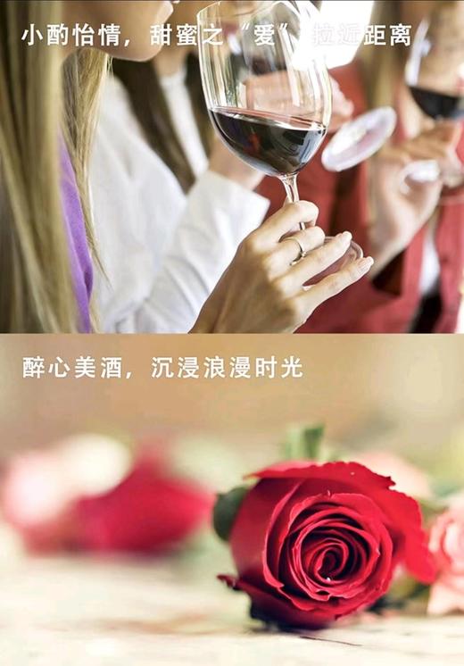 （法国原瓶进口）爱·干红葡萄酒 商品图5