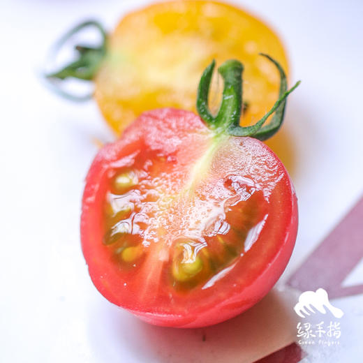 生态圣女果（浙江） | 合作生产 *Eco- tomato | Coprodution 商品图2