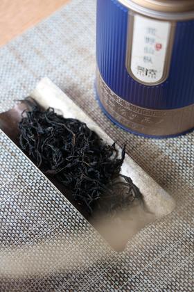 「荒野仙枞」古树头春，一口花香野韵