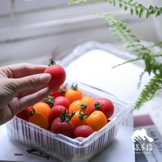 生态圣女果（浙江） | 合作生产 *Eco- tomato | Coprodution 商品图3