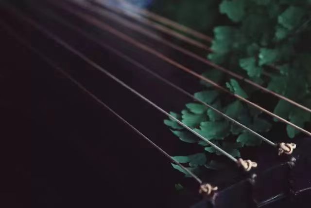 菊斋文人琴 • 甲辰年定制尾款